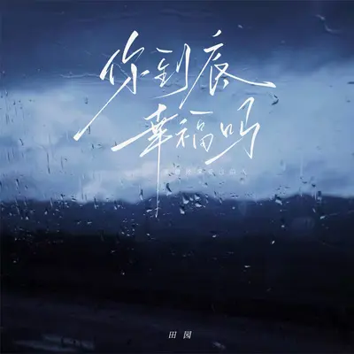 你到底幸福吗封面