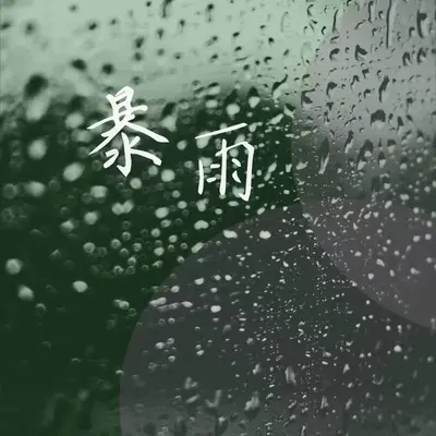 暴雨封面