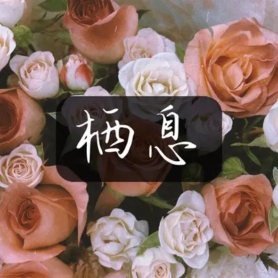 后知后觉封面