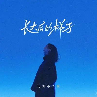 长大后的样子封面