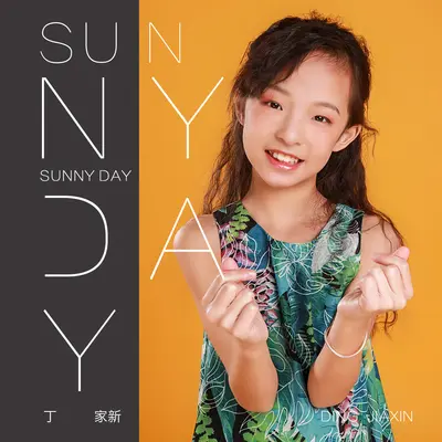 Sunny day封面