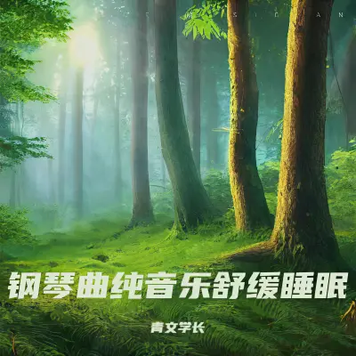 重度失眠者必听 强效催眠曲 - 青文学长封面