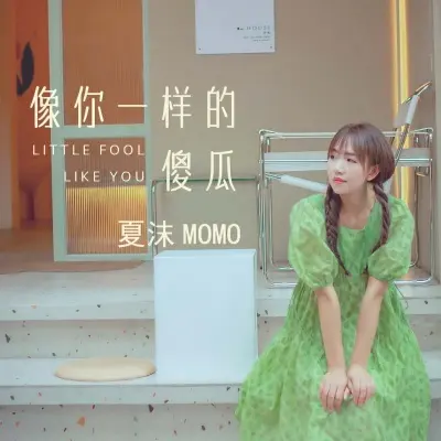 像你一样的傻瓜封面