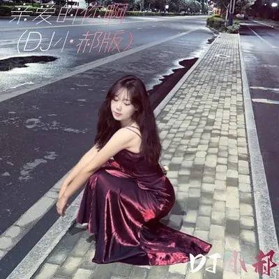 亲爱的你啊 (DJ小郝版)封面