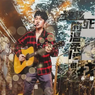 这该死的温柔骗我很久 (DJ版)封面