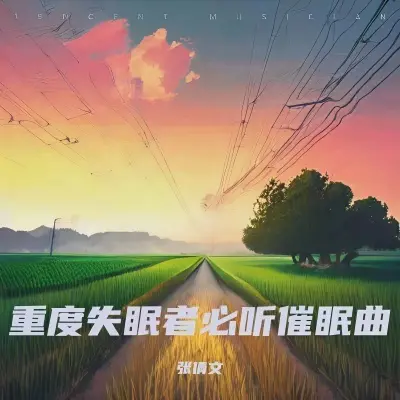 专治失眠的催眠曲 阿尔法脑波音乐封面