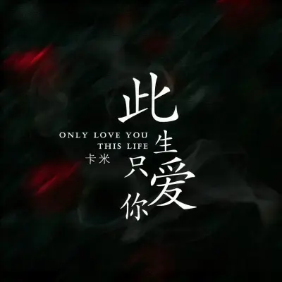此生只爱你封面