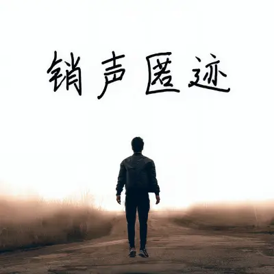 销声匿迹 (Demo)封面