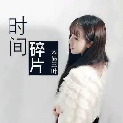 时间碎片封面