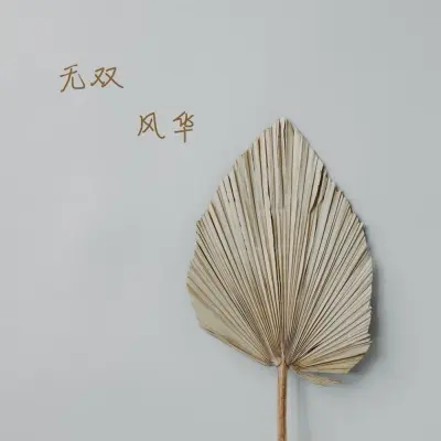 无双风华 (Demo)封面