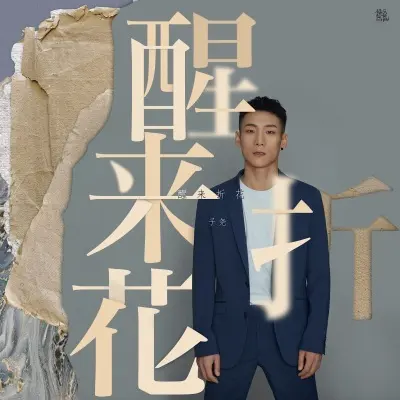 醒来折花(DJ阿圣版) (Remix)(专辑:醒来折花(DJ阿圣版))封面