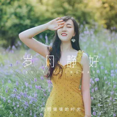 岁月静好 (完整版) - 熙熙攘攘的时光封面