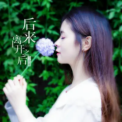 后来离开之后 - 小皮蛋封面