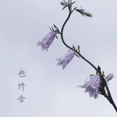 也许会 (Demo)封面