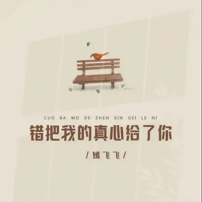 错把我的真心给了你 - 嫣飞飞封面