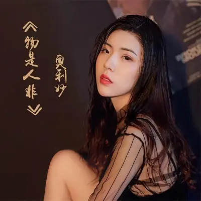 物是人非 - 奥利妙封面