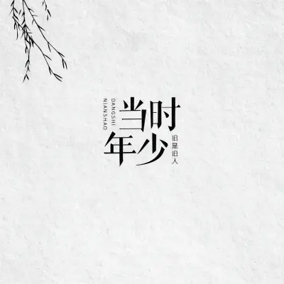 当时年少封面