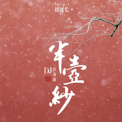 半壶纱（DJ名龙版）封面