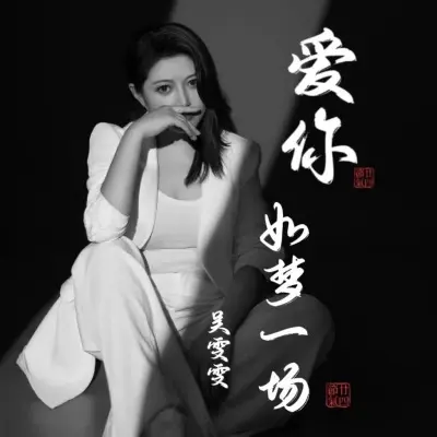 爱你如梦一场 (DJ版)封面