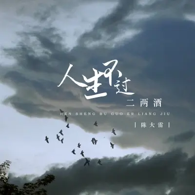 人生不过二两酒 (DJ版)封面