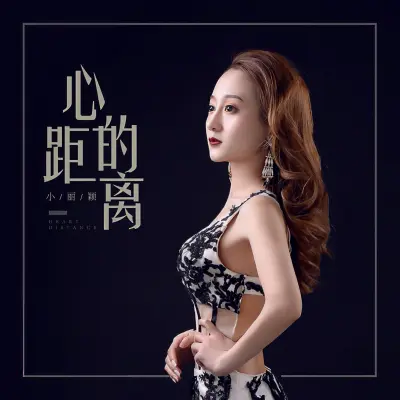 心的距离封面