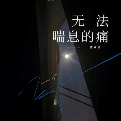 无法喘息的痛（我想我已经失去你了）（专辑：无法喘息的痛）封面