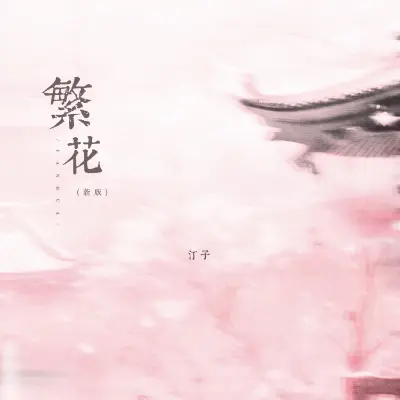 繁花（遇见你的眉眼如清风明月）（专辑：繁花（遇见你的眉眼如清风明月））封面
