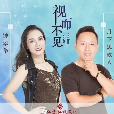 视而不见 - 月下思故人 / 南雁封面