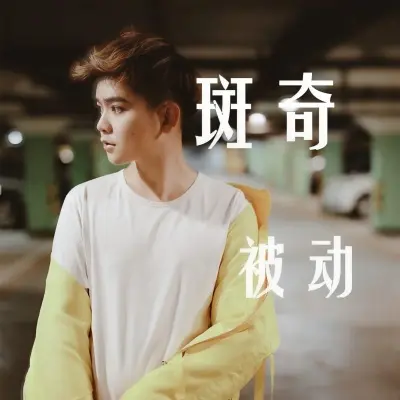 被动 - 斑奇封面