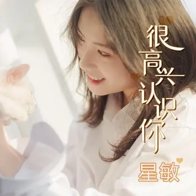 很高兴认识你封面