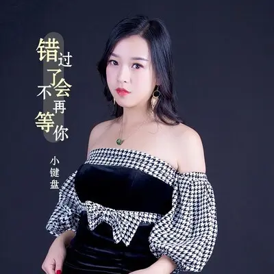 错过了不会再等你封面