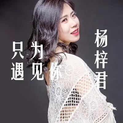 只为遇见你封面