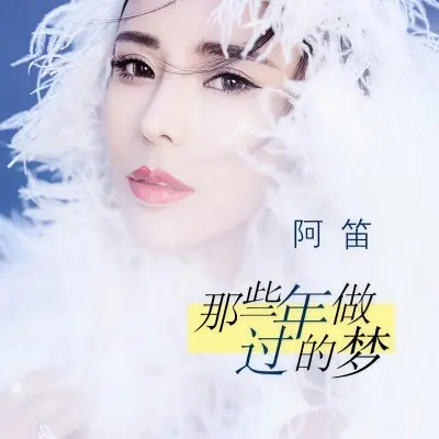 那些年做过的梦 - 阿笛封面