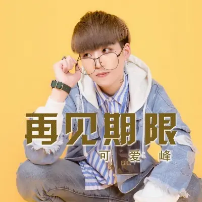 再见期限封面
