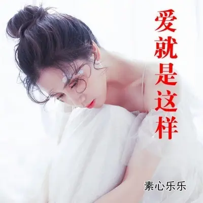 爱就是这样封面