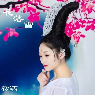 花落雪封面