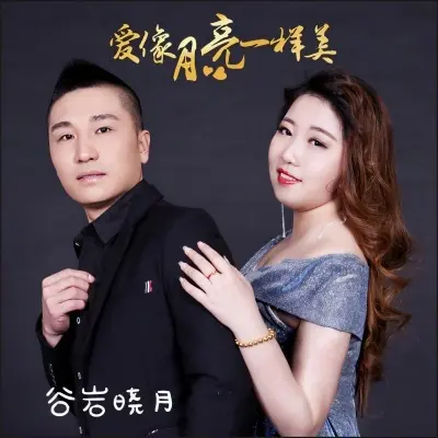 爱像月亮一样美封面