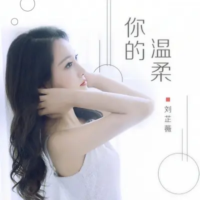 你的温柔封面