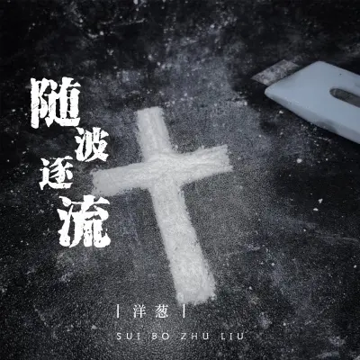 随波逐流封面