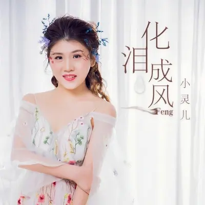 化泪成风封面