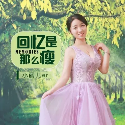 回忆是那么瘦封面