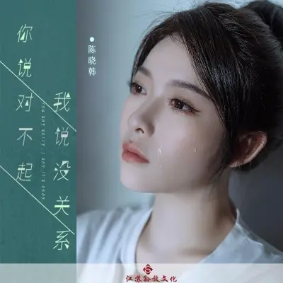 你说对不起我说没关系 (完整版)封面