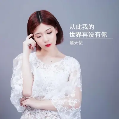 从此我的世界再没有你封面