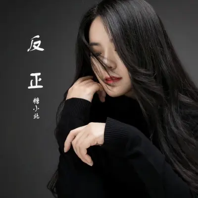 反正 - 糖小北封面