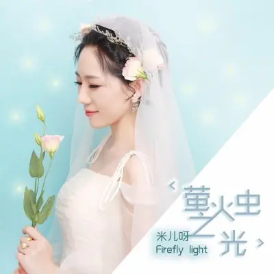 萤火虫之光封面
