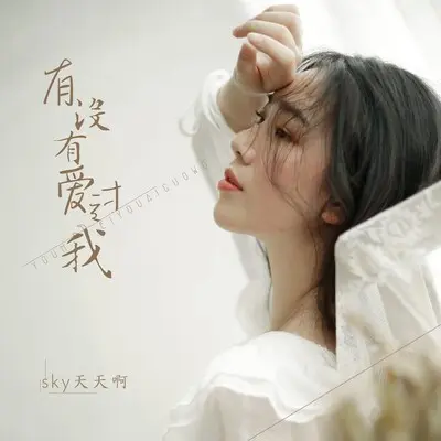 有没有爱过我封面