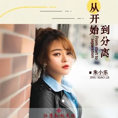 从开始到分离 (DJ版) - 朱小乐封面