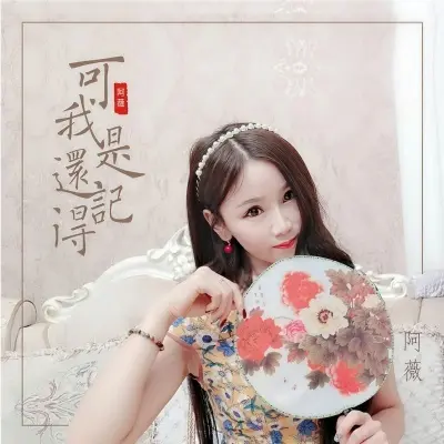 可是我还记得 - 阿薇封面