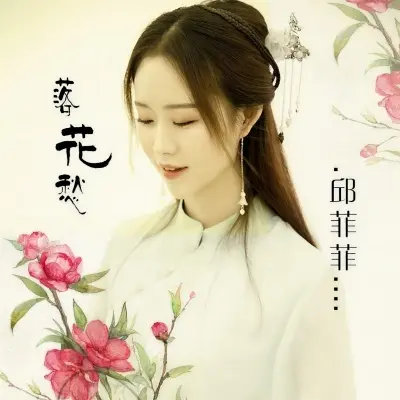 落花愁封面