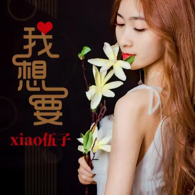 我想要封面